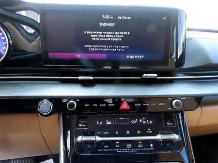 Kia Carnival — photo 12