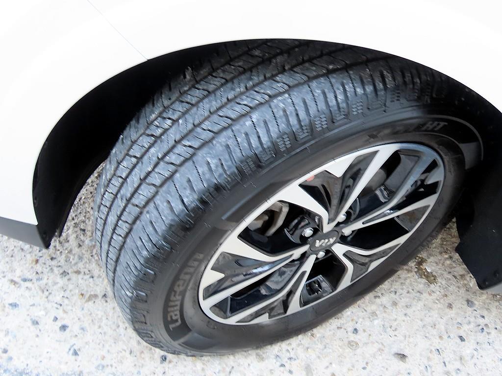 Kia Carnival — photo 20