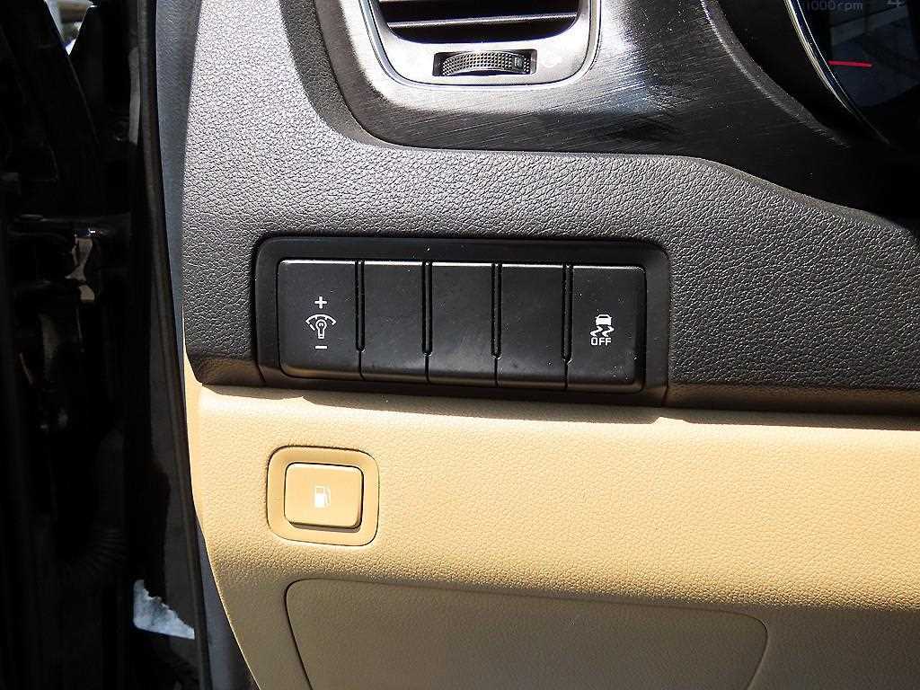 Kia Carnival — photo 13