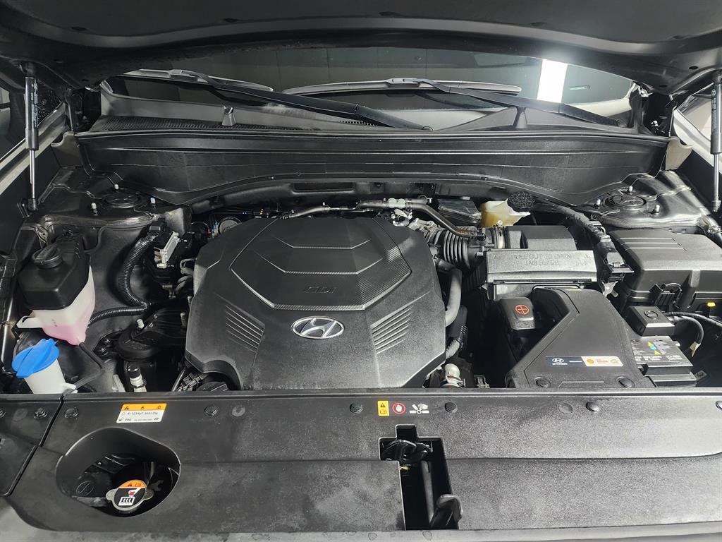 Hyundai Palisade — photo 18
