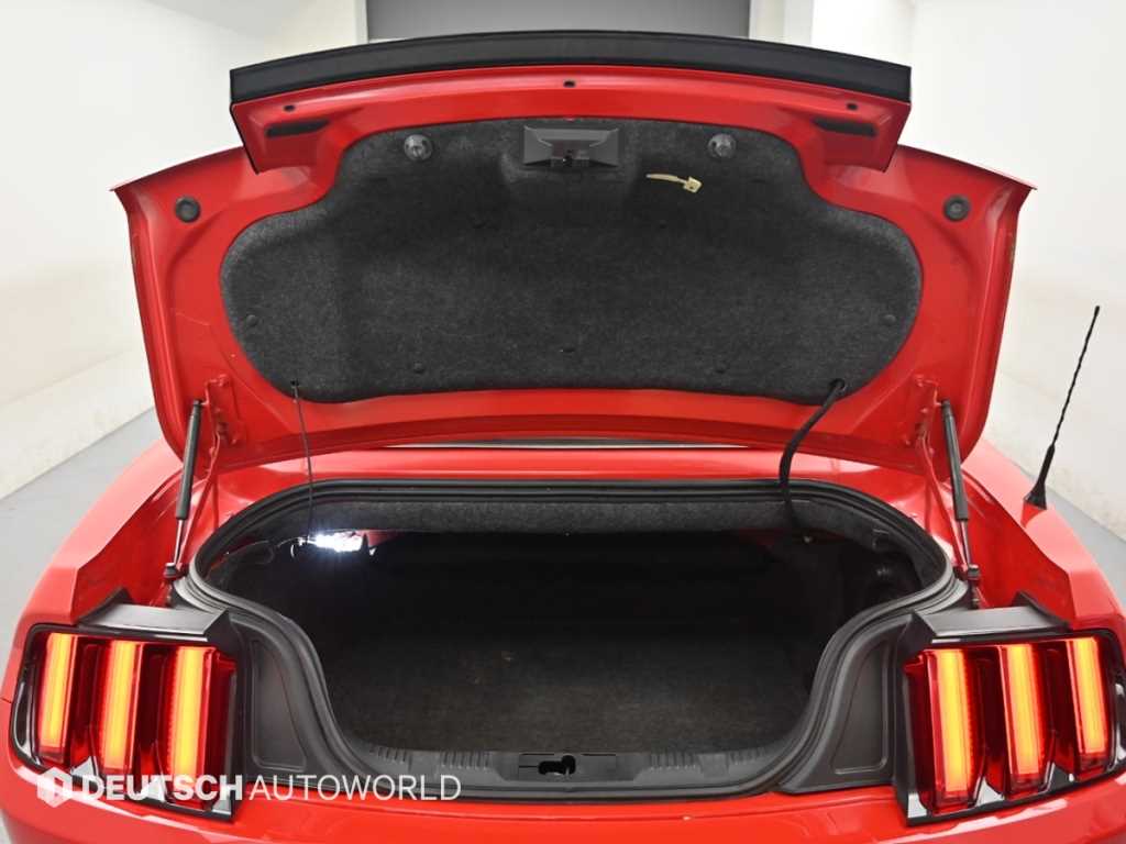 Ford Mustang — photo 19