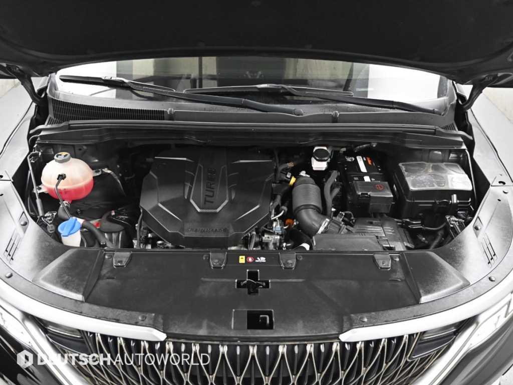 Kia Carnival — photo 06