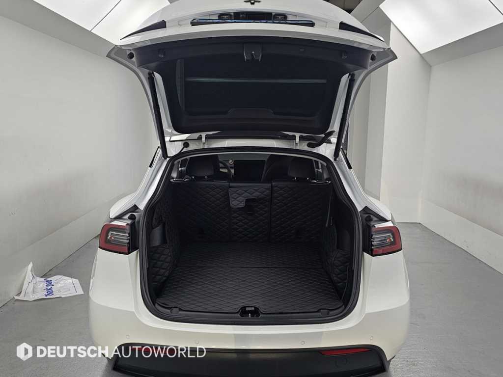 Tesla Model Y — photo 19