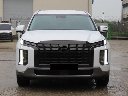 Hyundai Palisade — photo 01