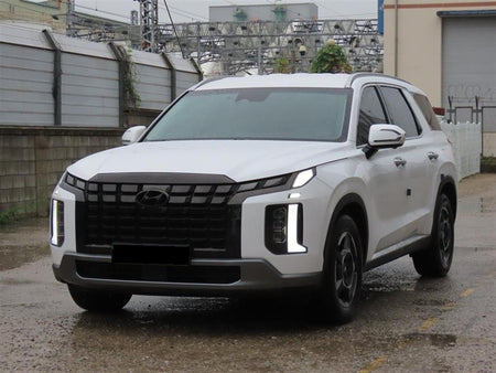 Hyundai Palisade — photo 02