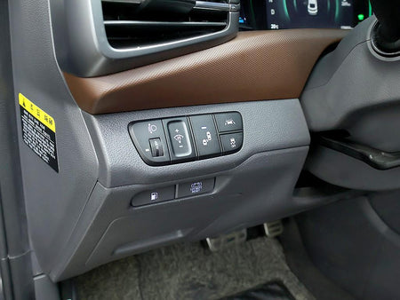Hyundai Ioniq — photo 14