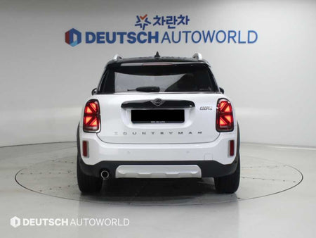 Mini Countryman — photo 04