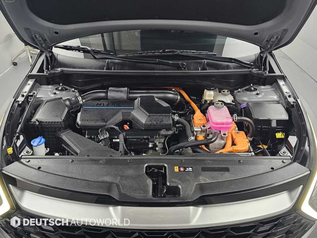 Kia Sportage — photo 06