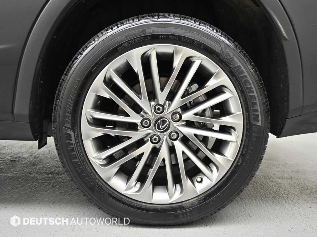 Lexus RX — photo 05