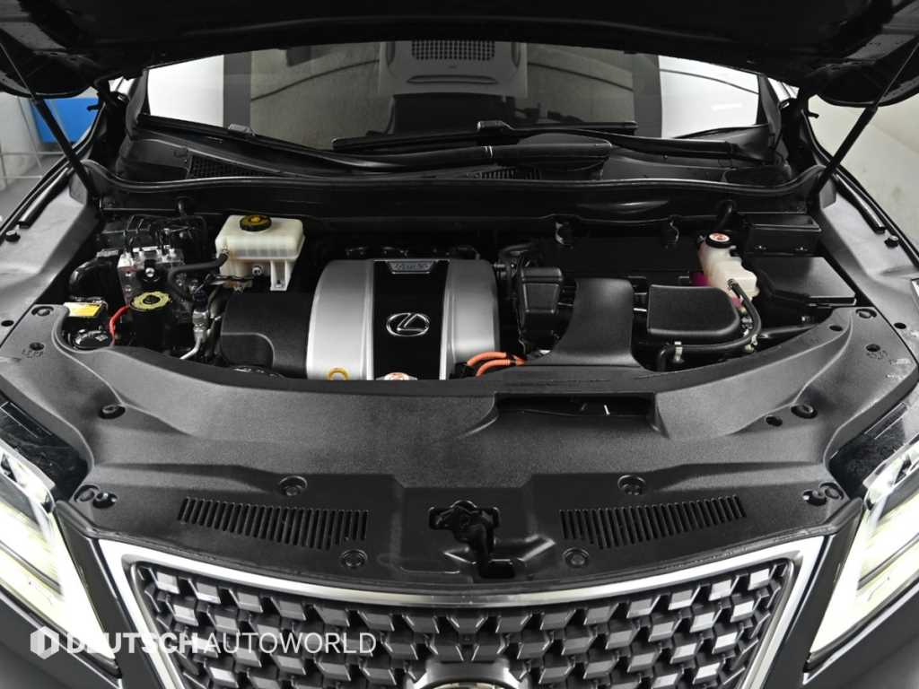 Lexus RX — photo 06