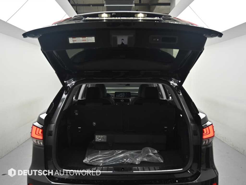 Lexus RX — photo 19