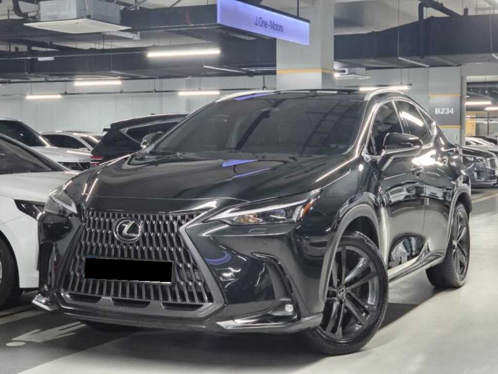 Lexus NX — photo 01