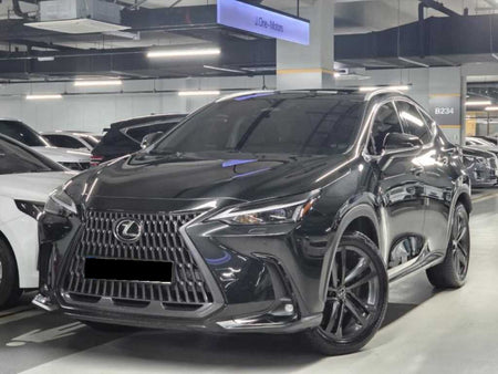 Lexus NX — photo 01