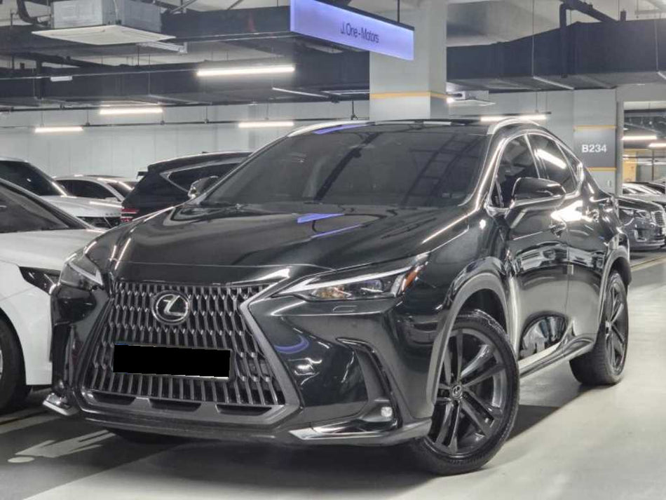 Lexus NX — photo 01