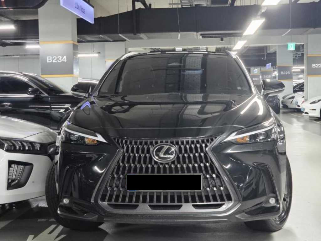 Lexus NX — photo 02