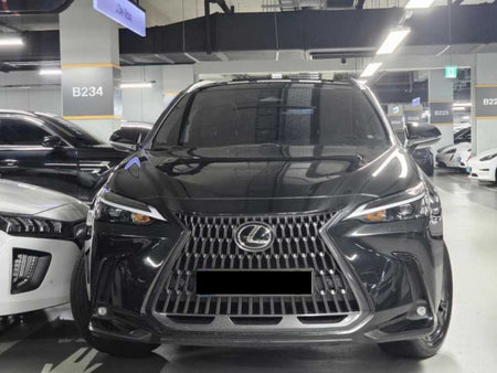 Lexus NX — photo 02