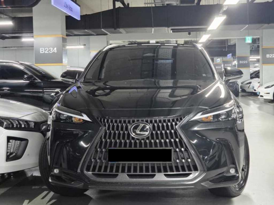 Lexus NX — photo 02