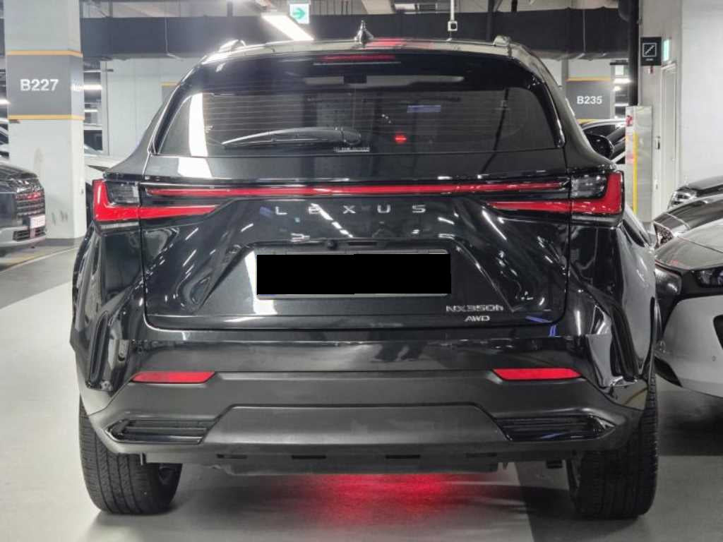Lexus NX — photo 04
