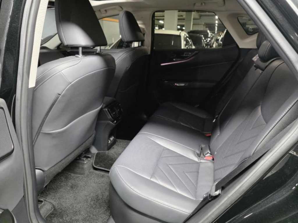 Lexus NX — photo 06