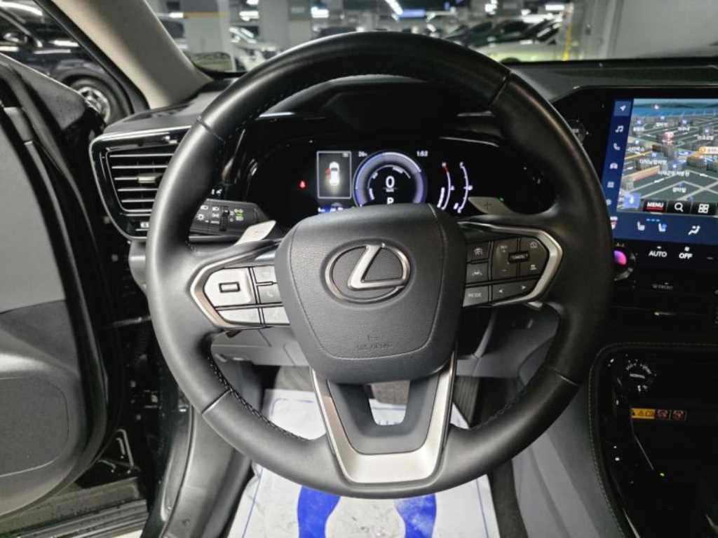 Lexus NX — photo 08