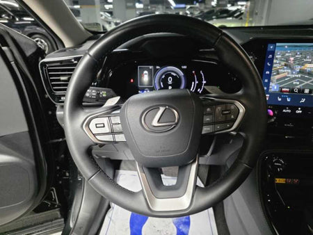 Lexus NX — photo 08