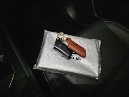 Lexus NX — photo 16