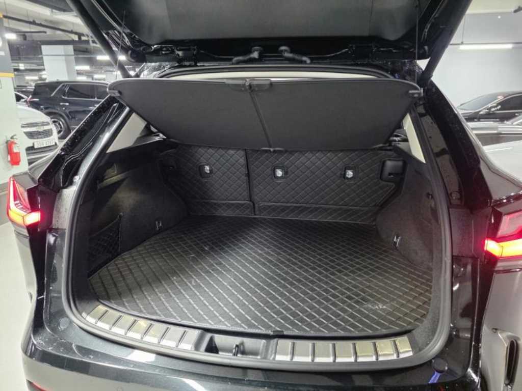 Lexus NX — photo 18