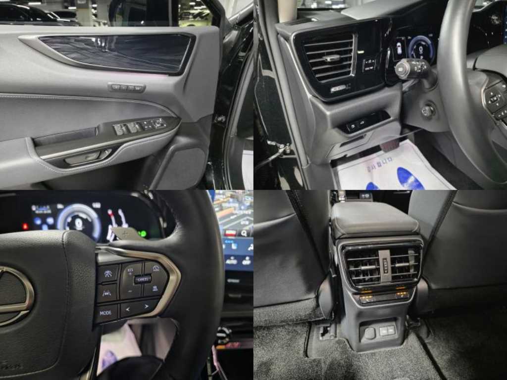 Lexus NX — photo 19