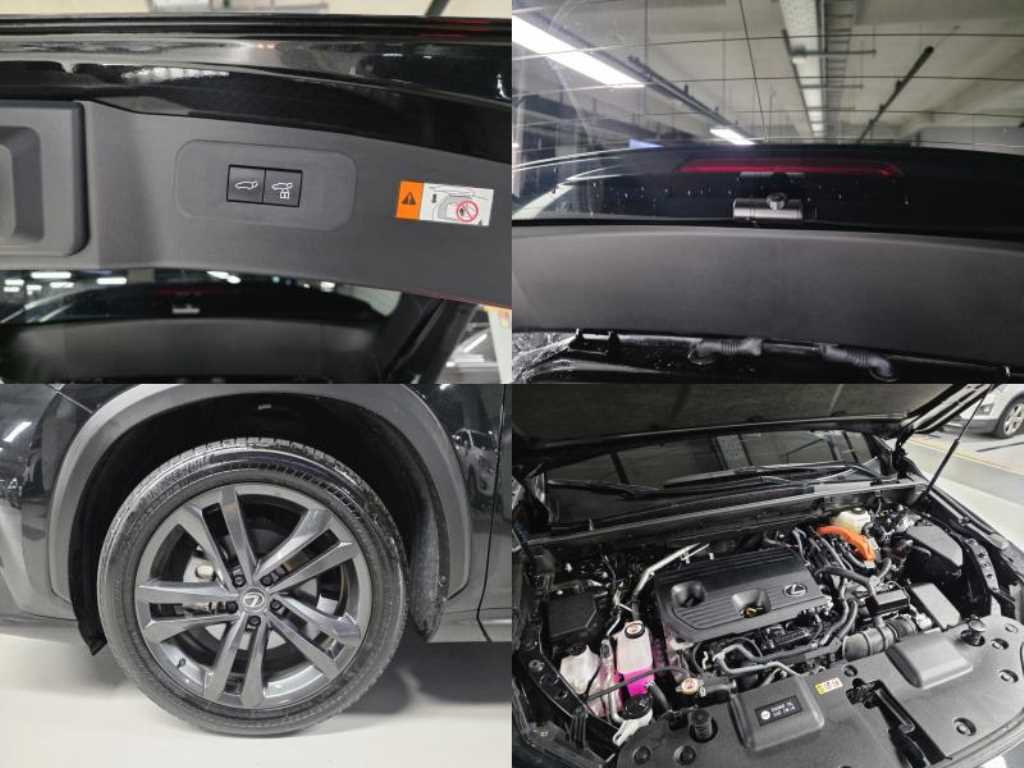 Lexus NX — photo 20