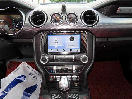 Ford Mustang — photo 13