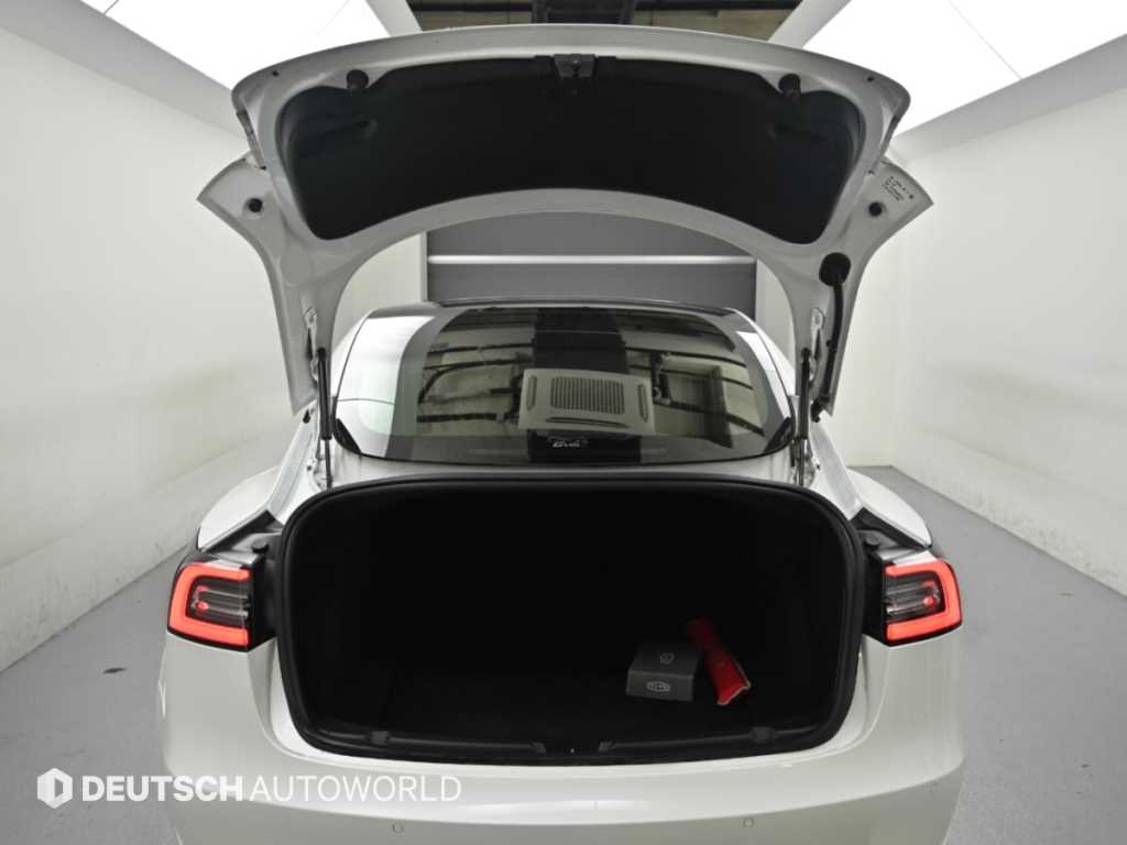 Tesla Model 3 — photo 19
