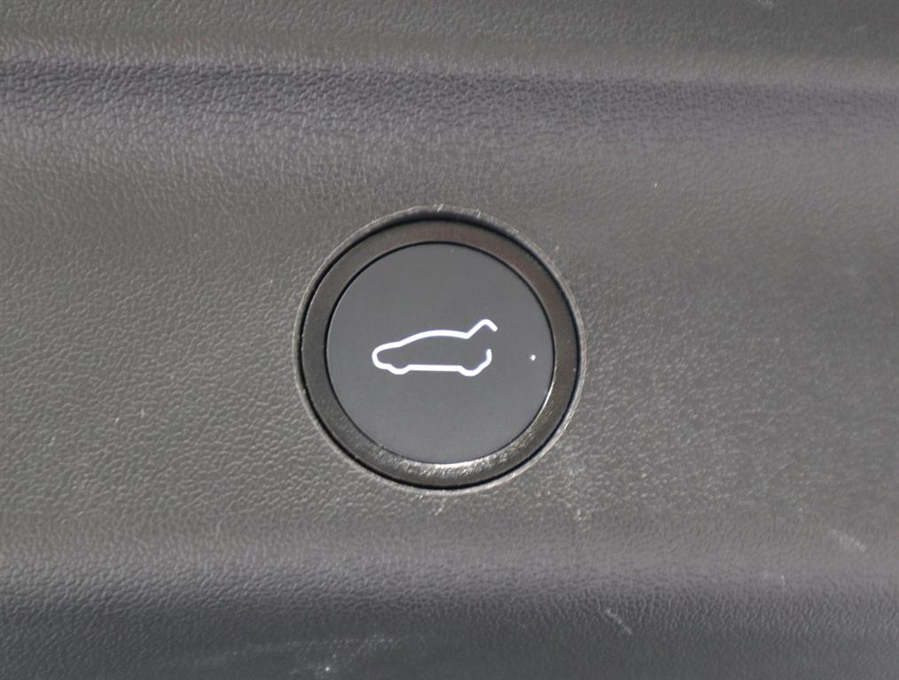 Tesla Model Y — photo 16