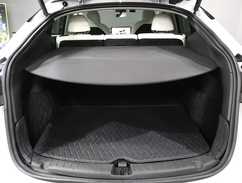 Tesla Model Y — photo 18
