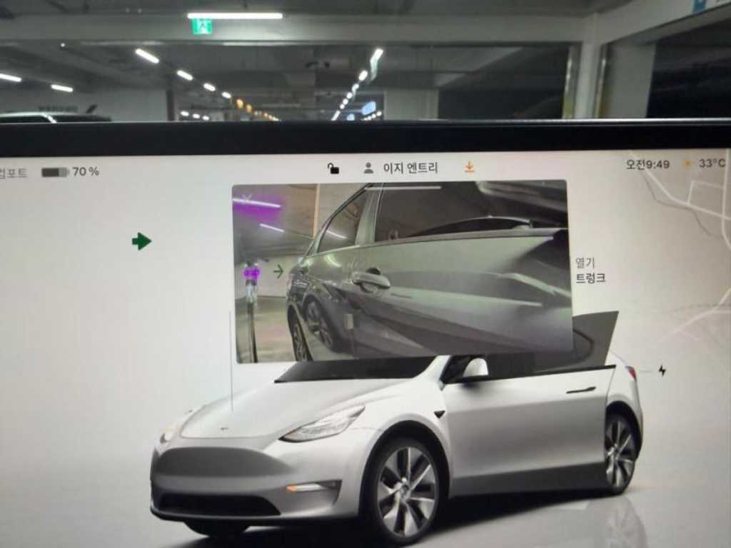 Tesla Model Y — photo 13
