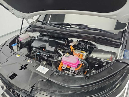 Kia Carnival — photo 05