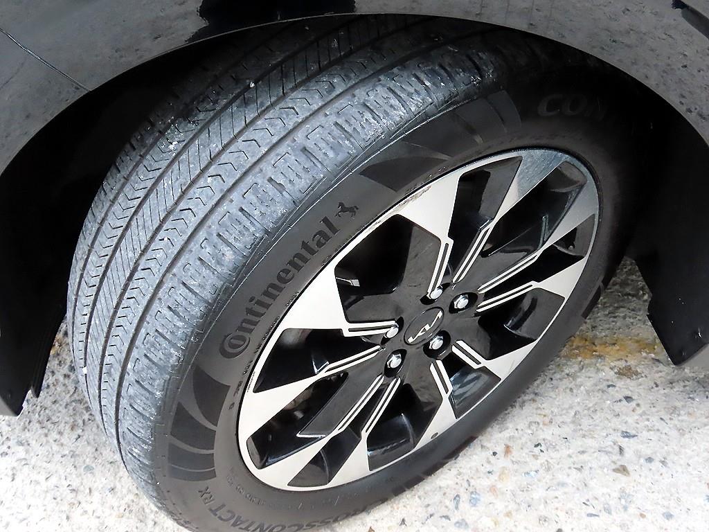 Kia Carnival — photo 20