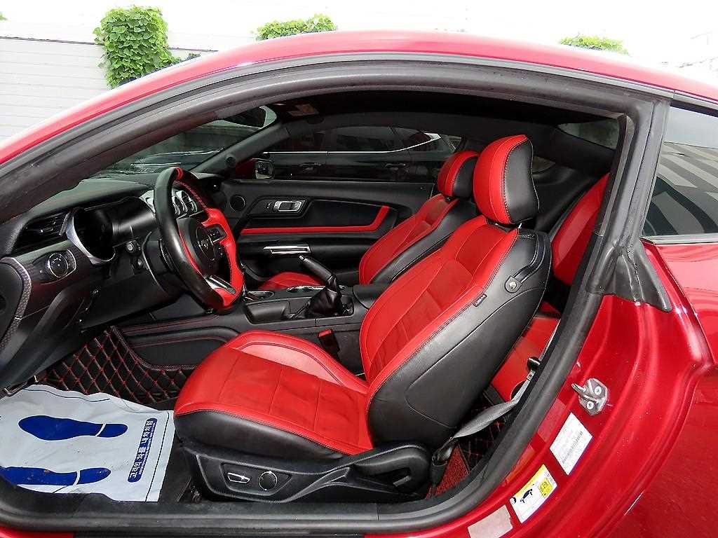 Ford Mustang — photo 05