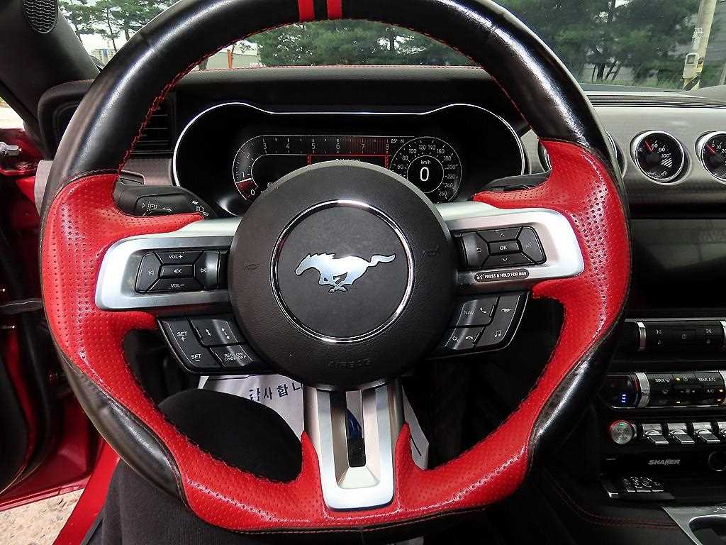 Ford Mustang — photo 08