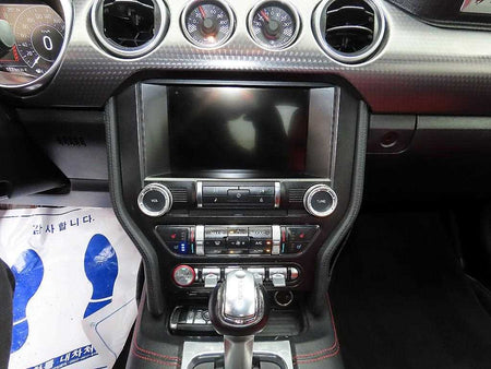 Ford Mustang — photo 13