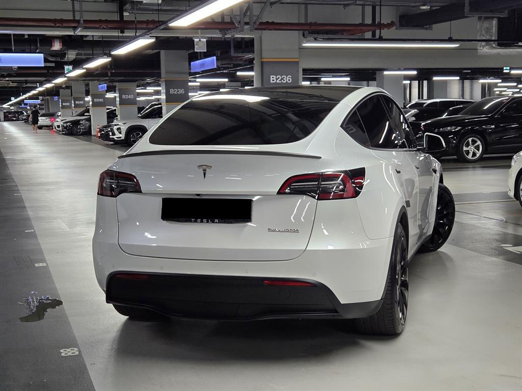 Tesla Model Y — photo 02