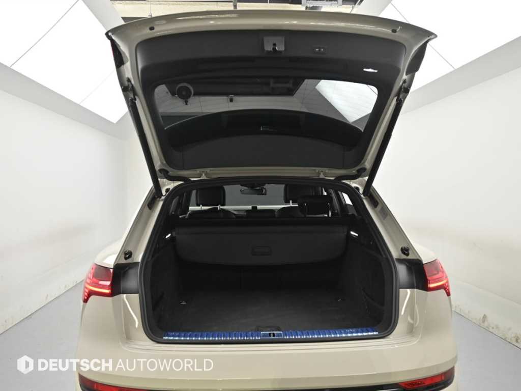 Audi e-tron — photo 19