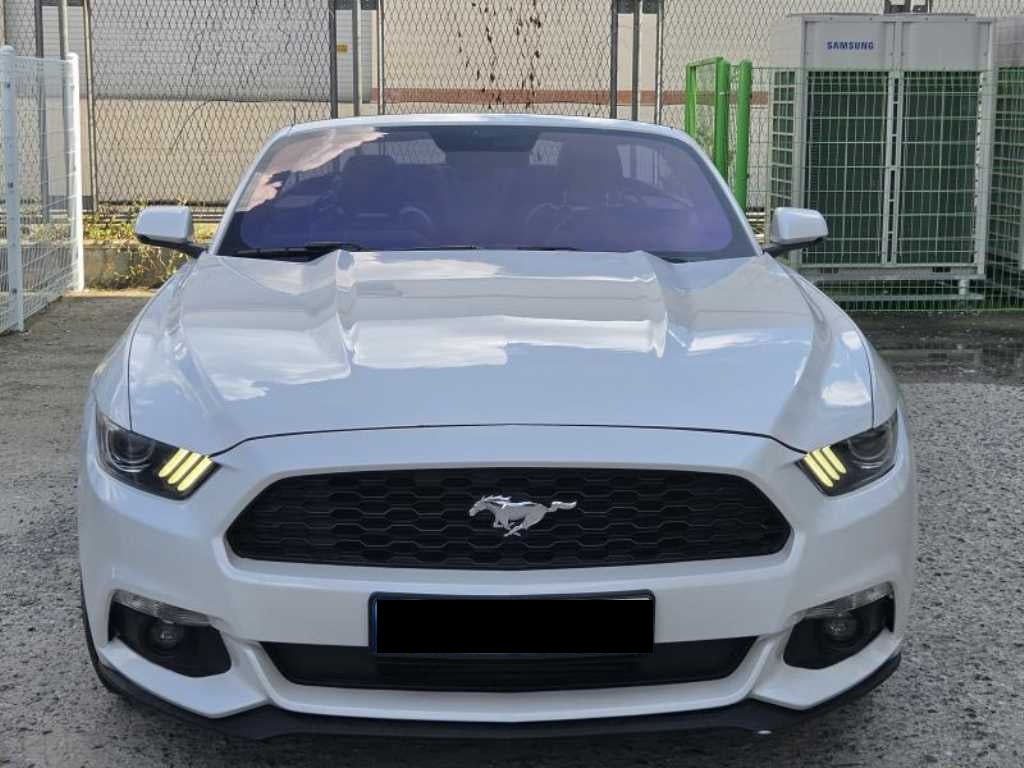 Ford Mustang — photo 01