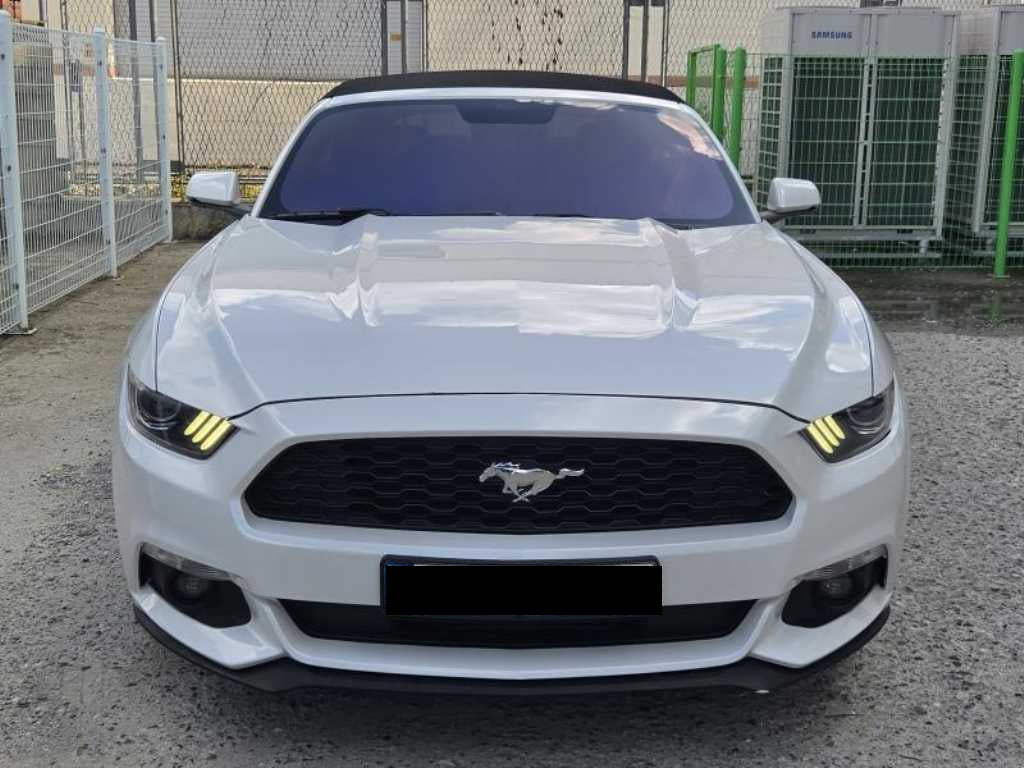Ford Mustang — photo 05