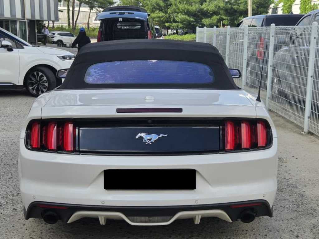 Ford Mustang — photo 08