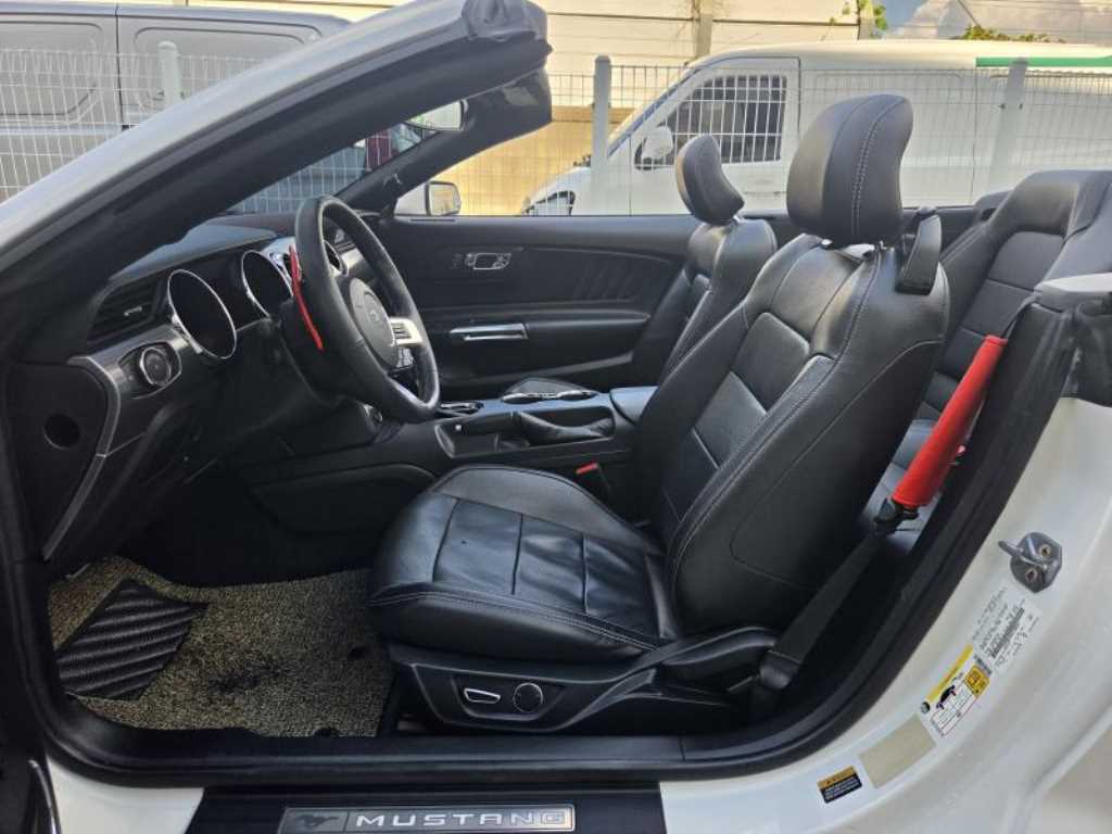 Ford Mustang — photo 09