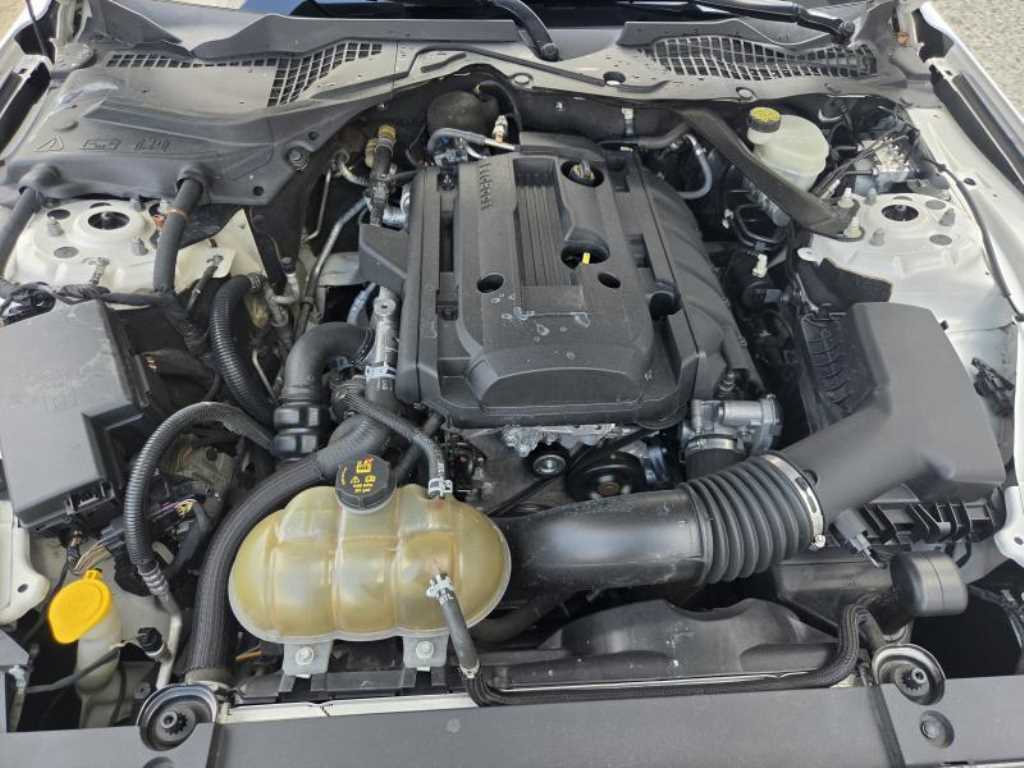 Ford Mustang — photo 19