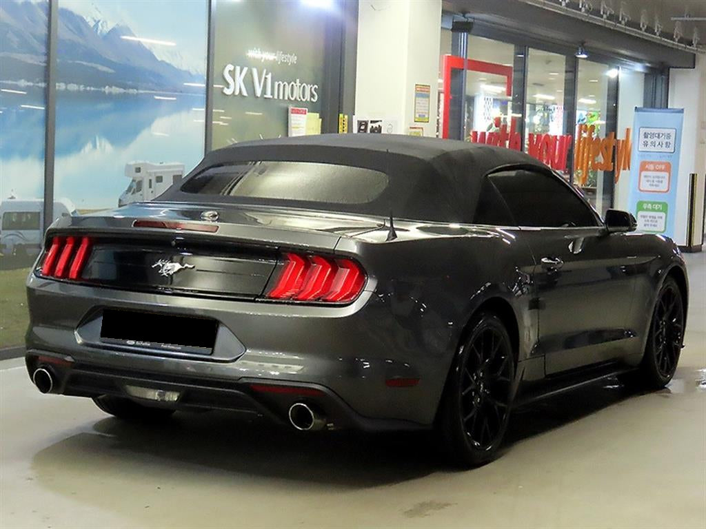 Ford Mustang — photo 04