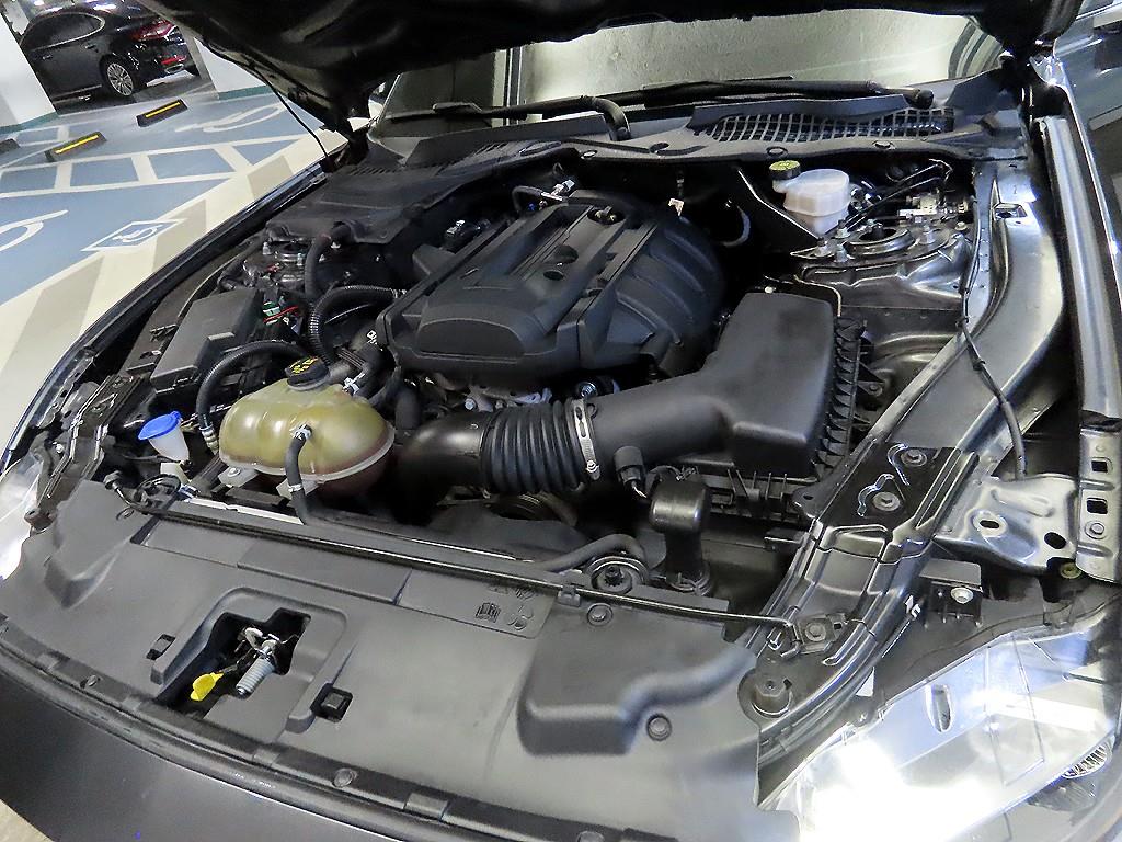 Ford Mustang — photo 19