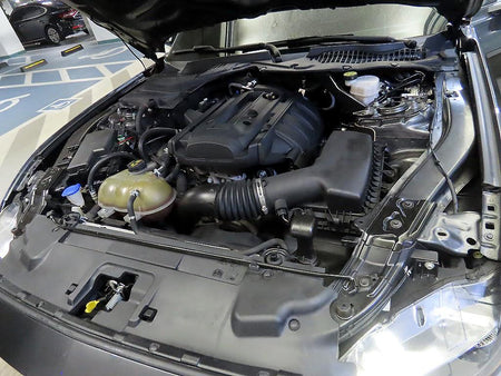 Ford Mustang — photo 19