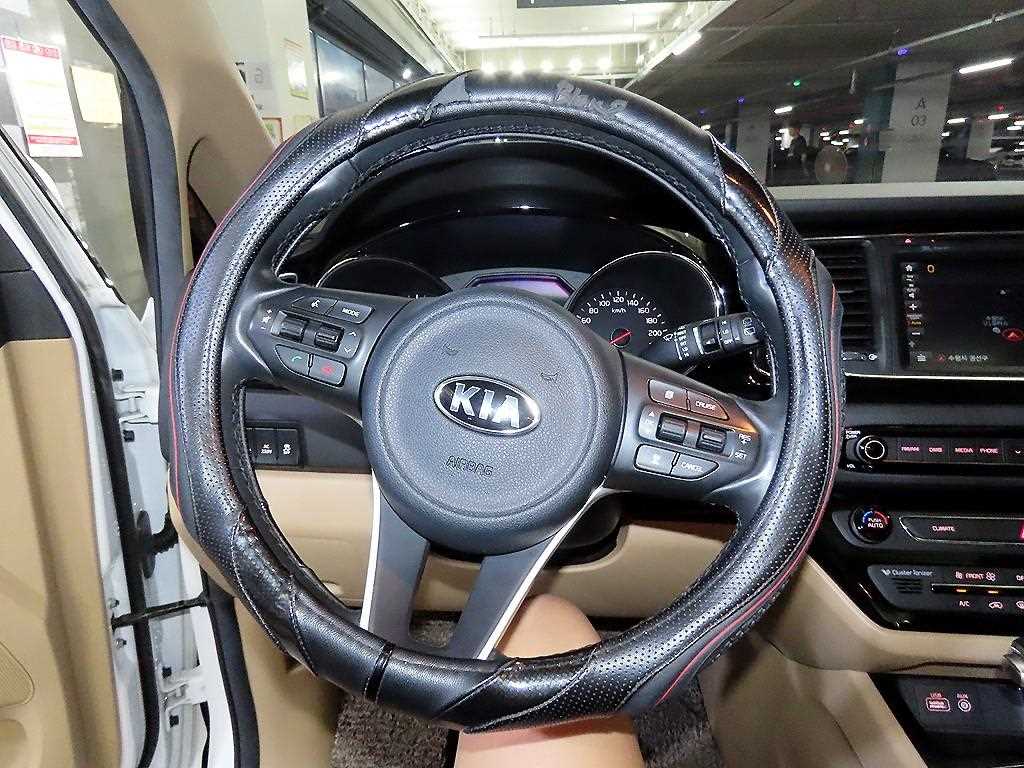 Kia Carnival — photo 08